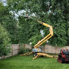 Best Sod Installation  in Adel, IA